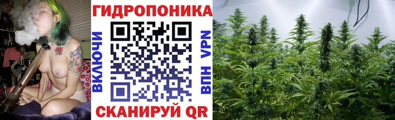 Конопля AK-47  Купить закладки  Кунгур 